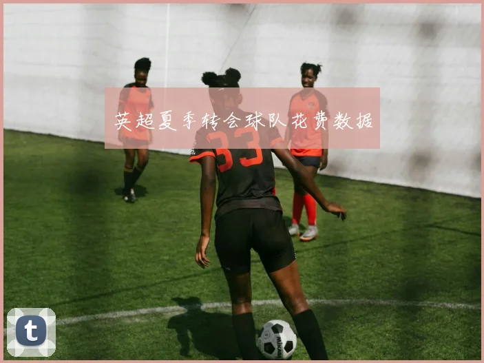 英超夏季转会球队花费数据